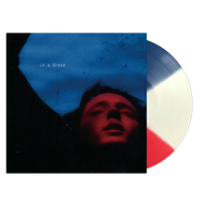 In A Dream (D2C Exclusive LP) Troye Sivan 