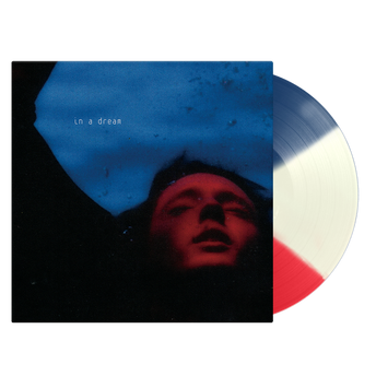 In A Dream (D2C Exclusive LP) Troye Sivan 